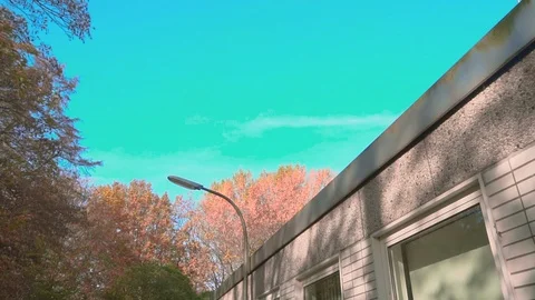 Sky and tree video 스톡 동영상 121450434