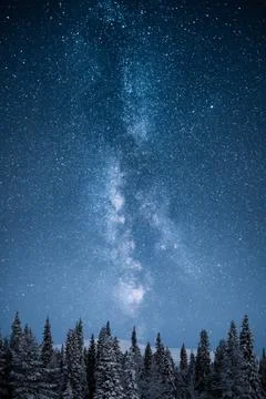Sky and trees night Stock Photos