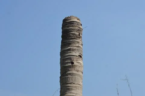 Sky and trees Stock Photos