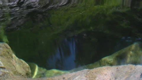 The sky and trees reflect on the water from a mountain stream (slow motion) Stock Footage 219639791