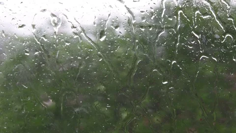 Sky and trees from the window on a rainy day Stock Footage 90452745