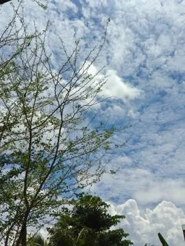 Sky and white clouds Stock Photos