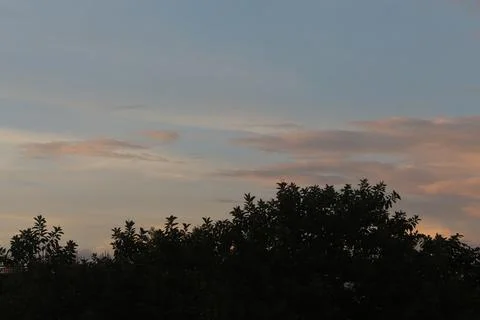 Sky background against tree Stock Photos