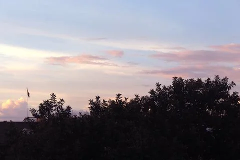 Sky background against tree Stock Photos