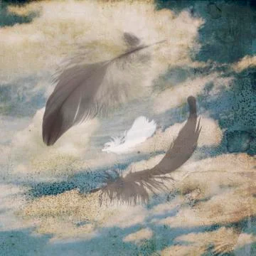 Sky background with feathers 스톡 일러스트