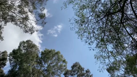 Sky background Stock Footage 154410306