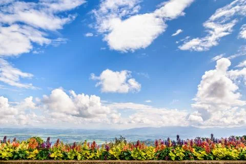 Sky background Foto stock