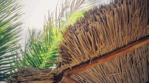 Sky beach palapa 動画素材 48137891