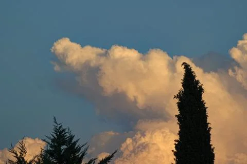 Sky bear Stock Photos