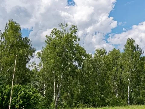 The sky is in beautiful white clouds Stock Photos