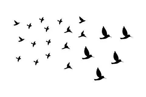 Sky bird vector and illustrator Stock Illustration