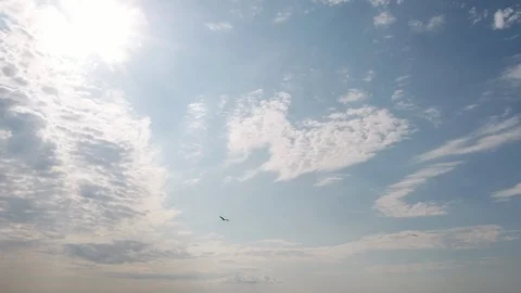 Sky birds clouds Video stock 124717609
