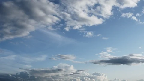 Sky with birds Stock Footage 116831301