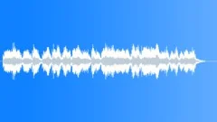 Sky Birds Stock Music