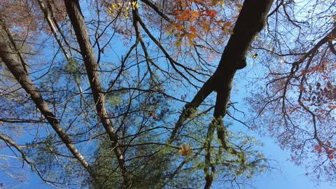 SKY BLIUE Video stock 193727431