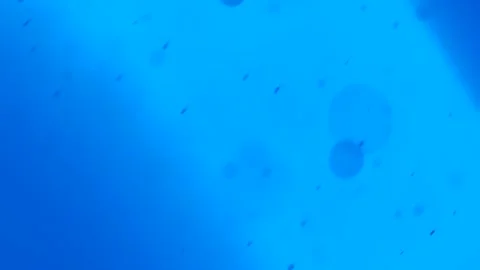 Sky blue light bar and flying blue dust and bokeh circles, abstraction. Stock Footage 250671479