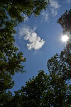 Sky is blue Stock Photos
