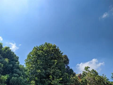 SKY BLUE Stock Photos