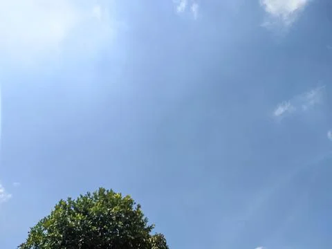 SKY BLUE Stock Photos