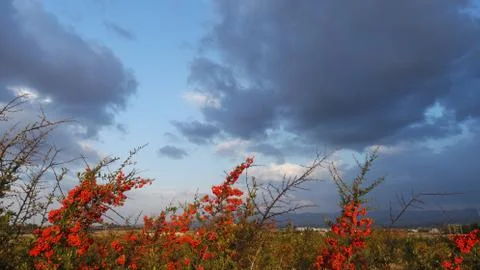 Sky blue sunset cloud Stock Photos