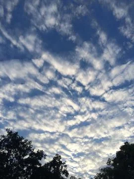 The sky is blue with white clouds Stock Photos