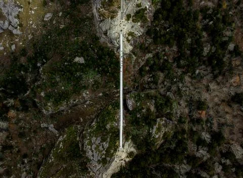 Sky Bridge Over Forested Cliffside 写真素材
