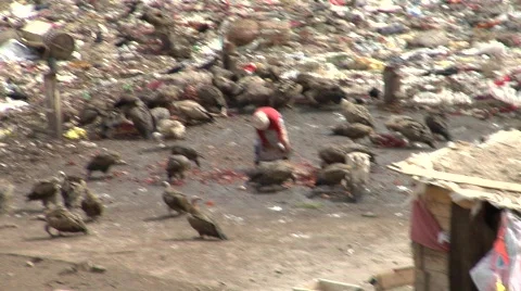 Sky Burial Stock Footage 275722