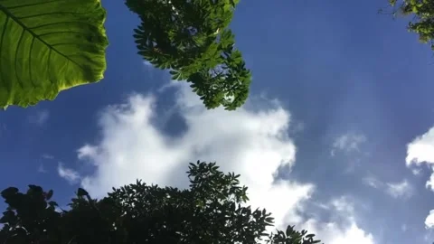 Sky cinematic video as the view Stock Footage 230403259