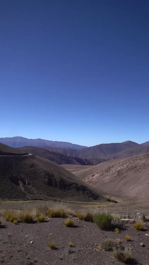 The sky is clear and blue  and the mountains are in the background Stock Footage 329725897