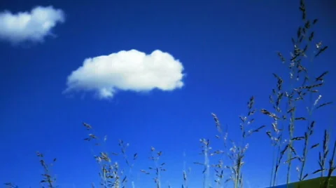Sky, cloud and meadow Vidéo 767028