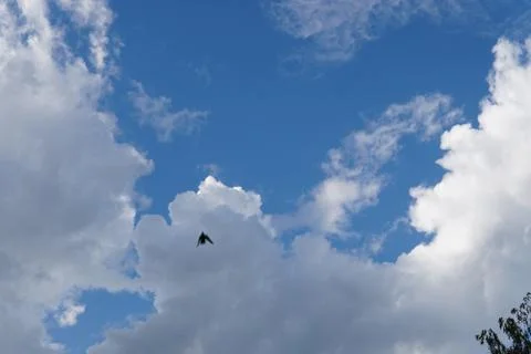 Sky cloud background Stock Photos