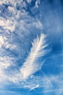 Sky, cloud looks like a feather Foto stock