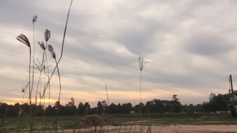 Sky cloud time lapse Stock Footage 136139674