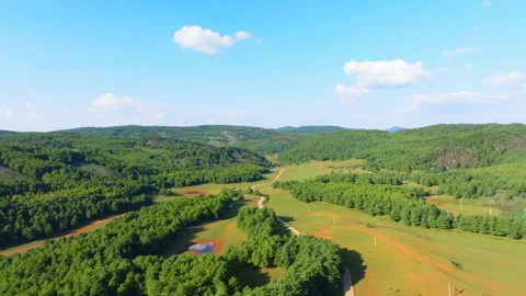 Sky Clouds Above Forest Outdoor Scenic Landscapes 4K Aerial Stock Footage 320613429