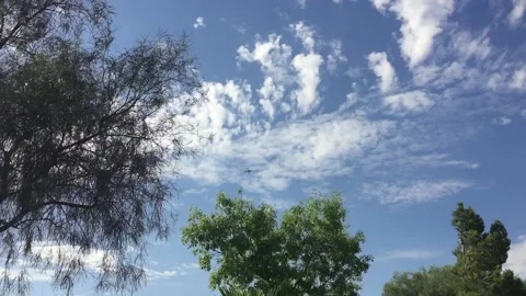 Sky with clouds and airplane passing by Stock Footage 134909223
