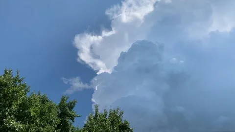 A sky with a clouds and green trees Stock Footage 296442945