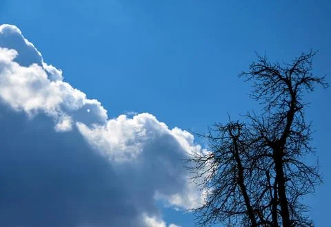Sky clouds and silhouette tree Stock Photos
