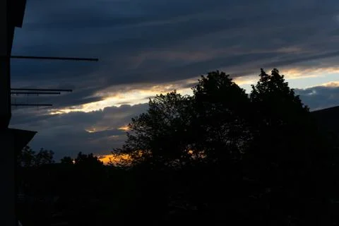 Sky with clouds and trees at sunset. Stock Photos