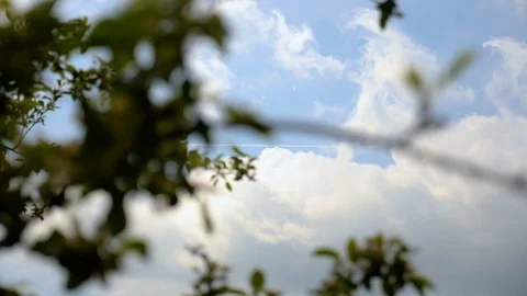 Sky clouds behind brenches and leaves Stock Footage 76927062