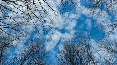 Sky with clouds behind trees, timelapse Stock Footage 63251567
