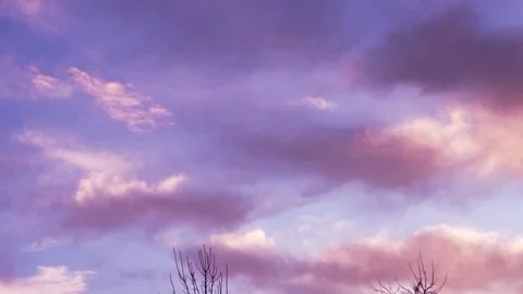 Sky with clouds at dawn, gently purple sunrise Stock Footage 166373623
