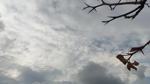 Sky,  Clouds With  During Sunset Time. Time Lapse Stock Footage 242640420