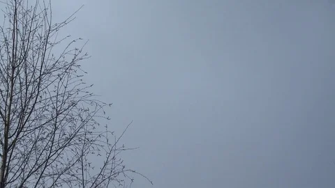 Sky with clouds floating in windy day time lapse Video stock 72169207