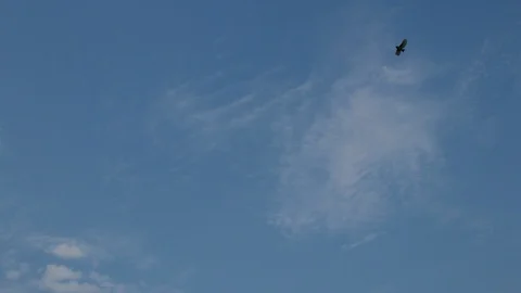 Sky with clouds Stock Footage 103087334