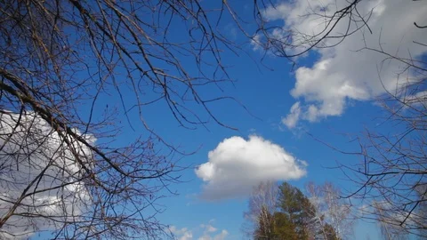 Sky with clouds in the foreground branches without leaves Stock Footage 97411014