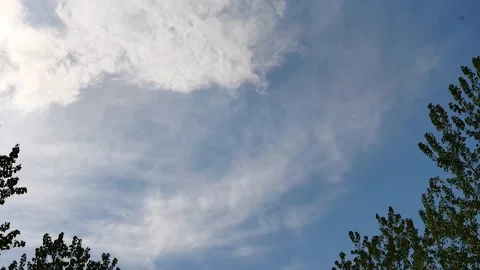 Sky clouds in the forest in a beautiful sunny day surrounded by trees Video stock 132345920