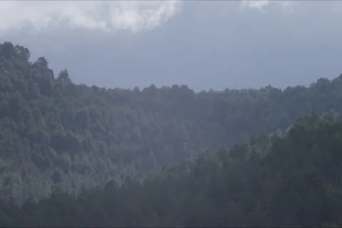 Sky Clouds Forest Landscape In Cuenca, Spain Stock Footage 232034004