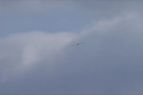 Sky Clouds Landscape In Cuenca, Spain Stock Footage 232000138