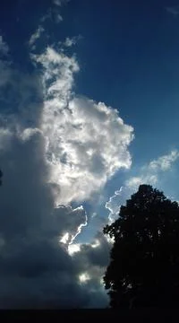 The sky, clouds over the linden tree Stock Photos