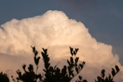 A Sky of Clouds, Reaching for a Tree. Stock Photos